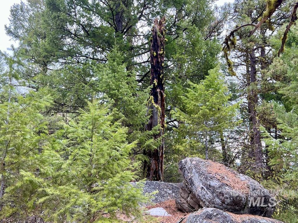 TBD Hilltop Rd., Cascade, Idaho 83611, Land For Sale, Price $179,000, 98951420