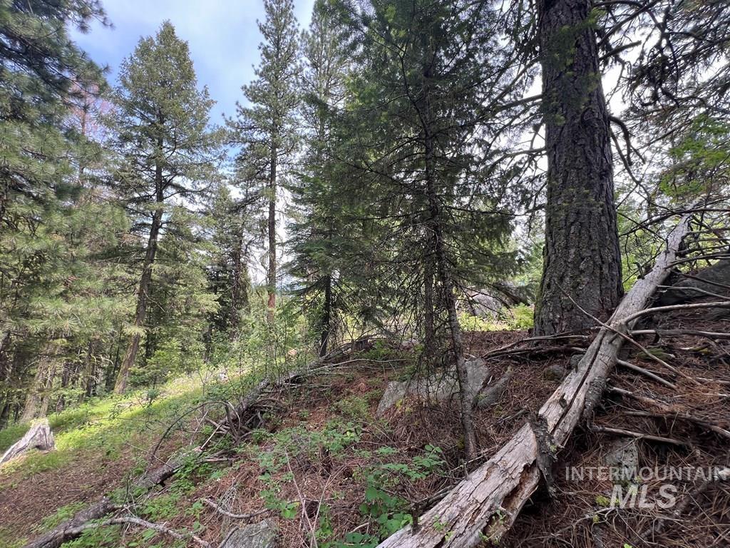 TBD Hilltop Rd., Cascade, Idaho 83611, Land For Sale, Price $179,000, 98951420