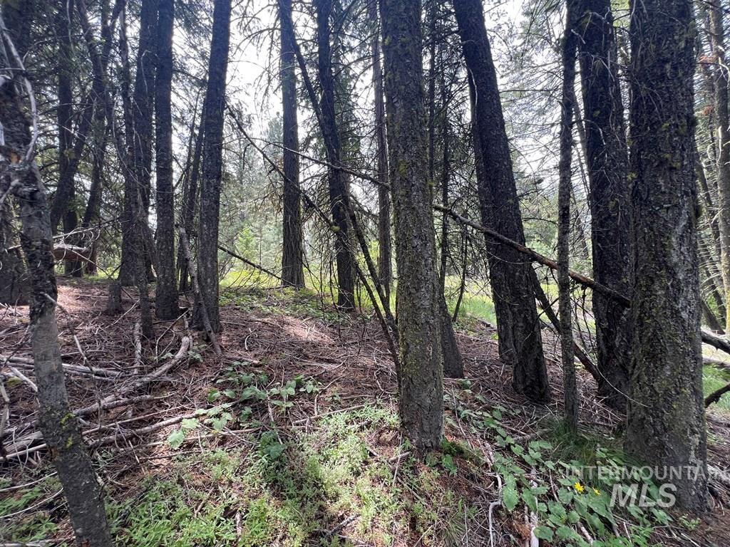 TBD Hilltop Rd., Cascade, Idaho 83611, Land For Sale, Price $179,000, 98951420
