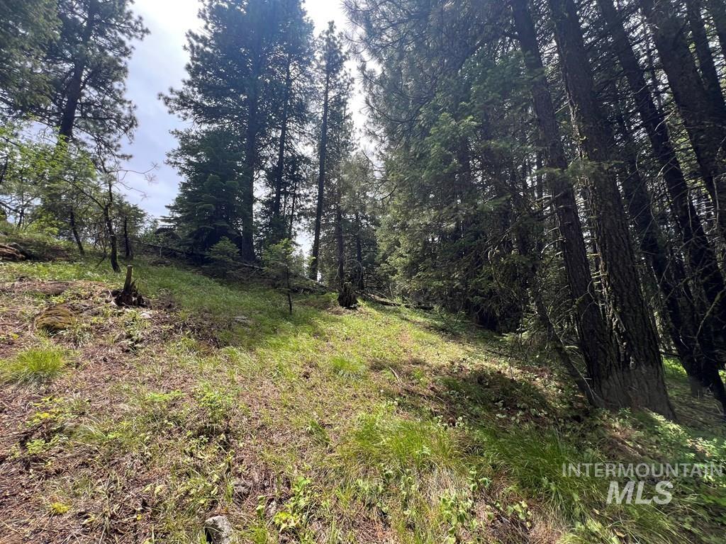 TBD Hilltop Rd., Cascade, Idaho 83611, Land For Sale, Price $179,000, 98951420