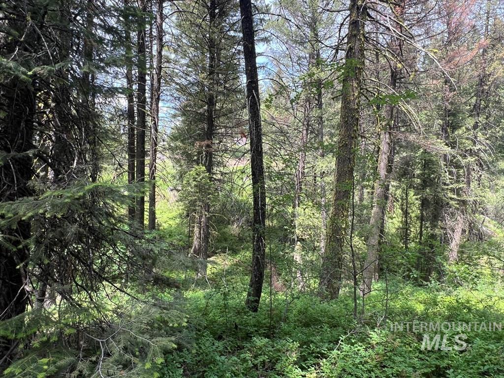 TBD Hilltop Rd., Cascade, Idaho 83611, Land For Sale, Price $179,000, 98951420