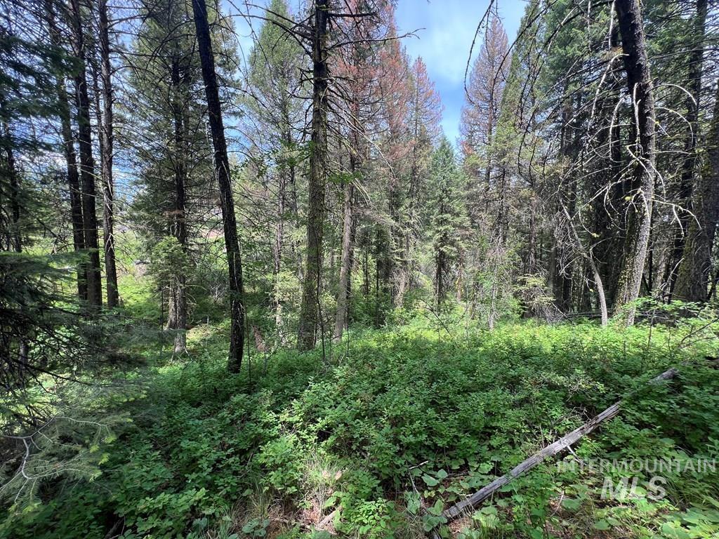 TBD Hilltop Rd., Cascade, Idaho 83611, Land For Sale, Price $179,000, 98951420
