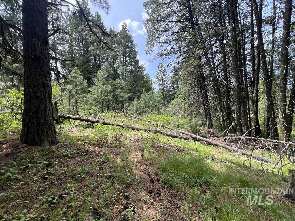 TBD Hilltop Rd., Cascade, Idaho 83611, Land For Sale, Price $179,000, 98951420