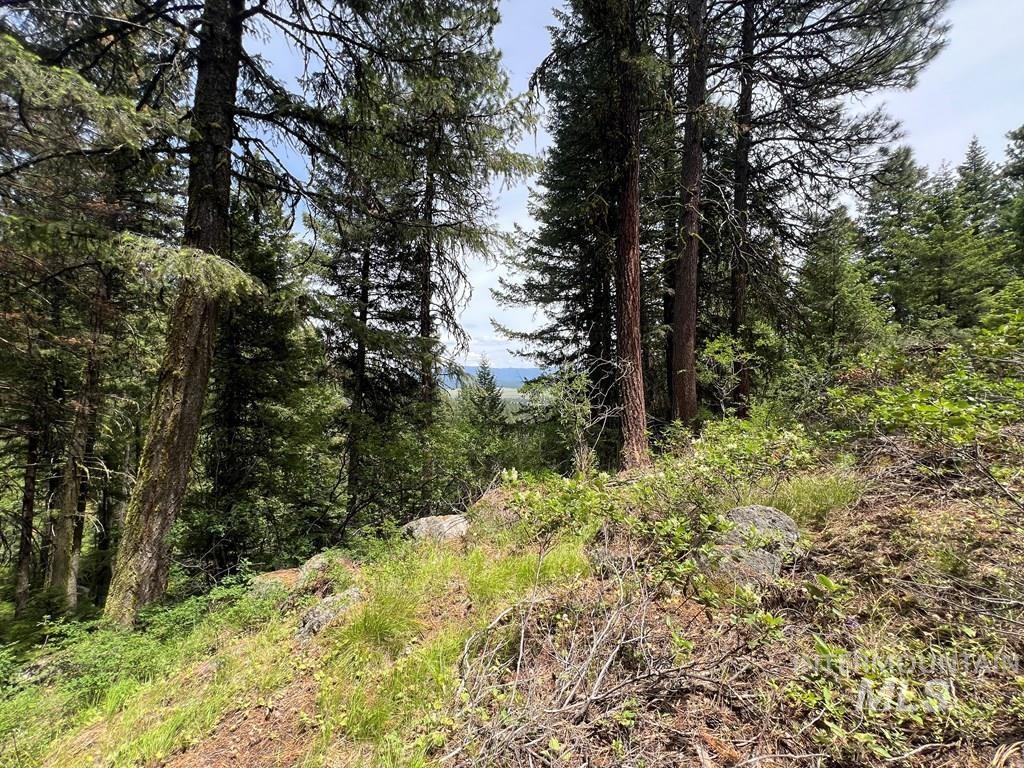 TBD Hilltop Rd., Cascade, Idaho 83611, Land For Sale, Price $179,000, 98951420