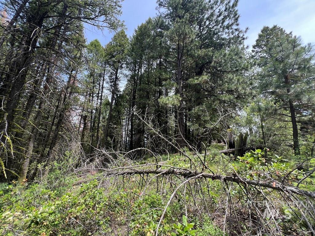 TBD Hilltop Rd., Cascade, Idaho 83611, Land For Sale, Price $179,000, 98951420