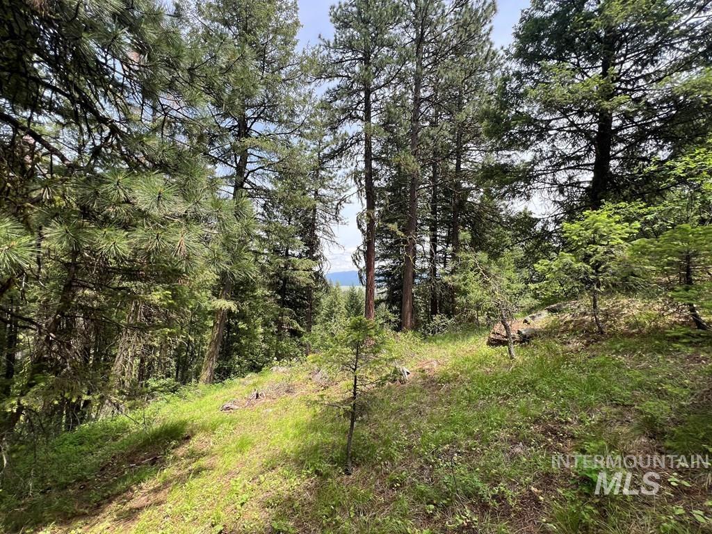 TBD Hilltop Rd., Cascade, Idaho 83611, Land For Sale, Price $179,000, 98951420