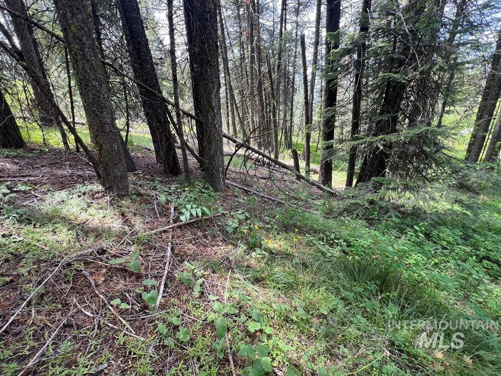 TBD Hilltop Rd., Cascade, Idaho 83611, Land For Sale, Price $179,000, 98951420