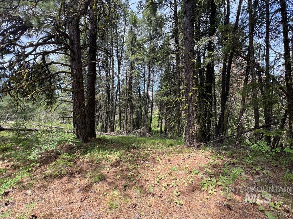 TBD Hilltop Rd., Cascade, Idaho 83611, Land For Sale, Price $179,000, 98951420