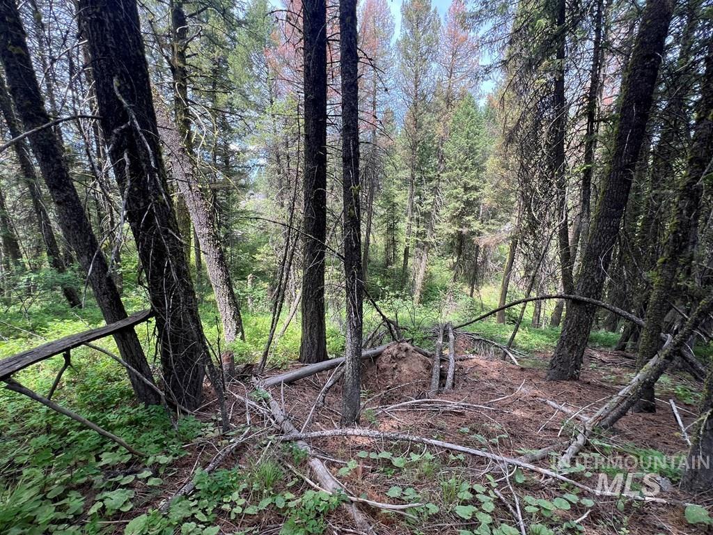 TBD Hilltop Rd., Cascade, Idaho 83611, Land For Sale, Price $179,000, 98951420