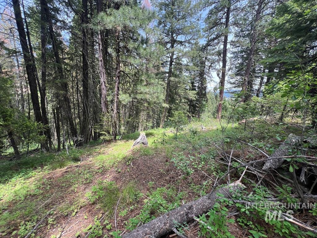TBD Hilltop Rd., Cascade, Idaho 83611, Land For Sale, Price $179,000, 98951420