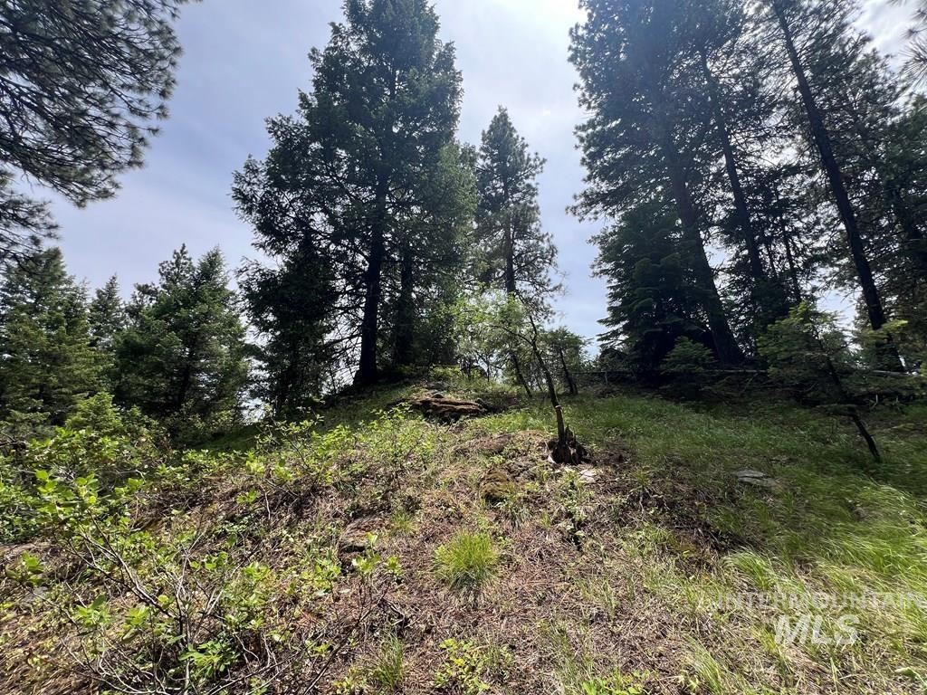 TBD Hilltop Rd., Cascade, Idaho 83611, Land For Sale, Price $179,000, 98951420