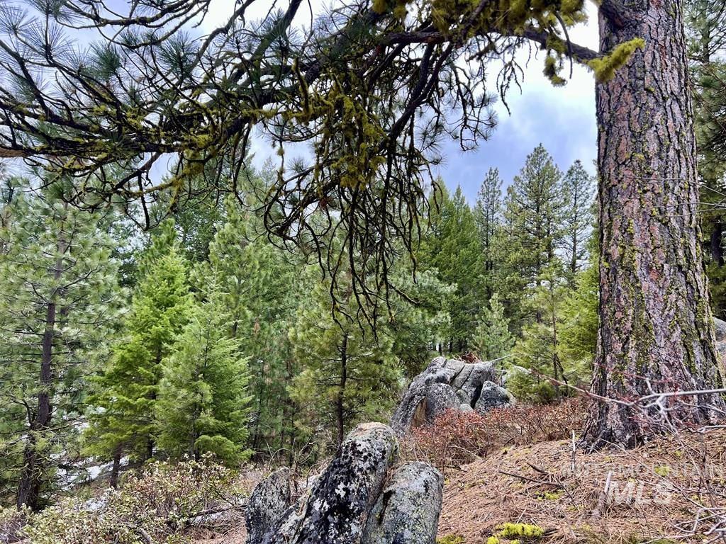 TBD Hilltop Rd., Cascade, Idaho 83611, Land For Sale, Price $179,000, 98951420