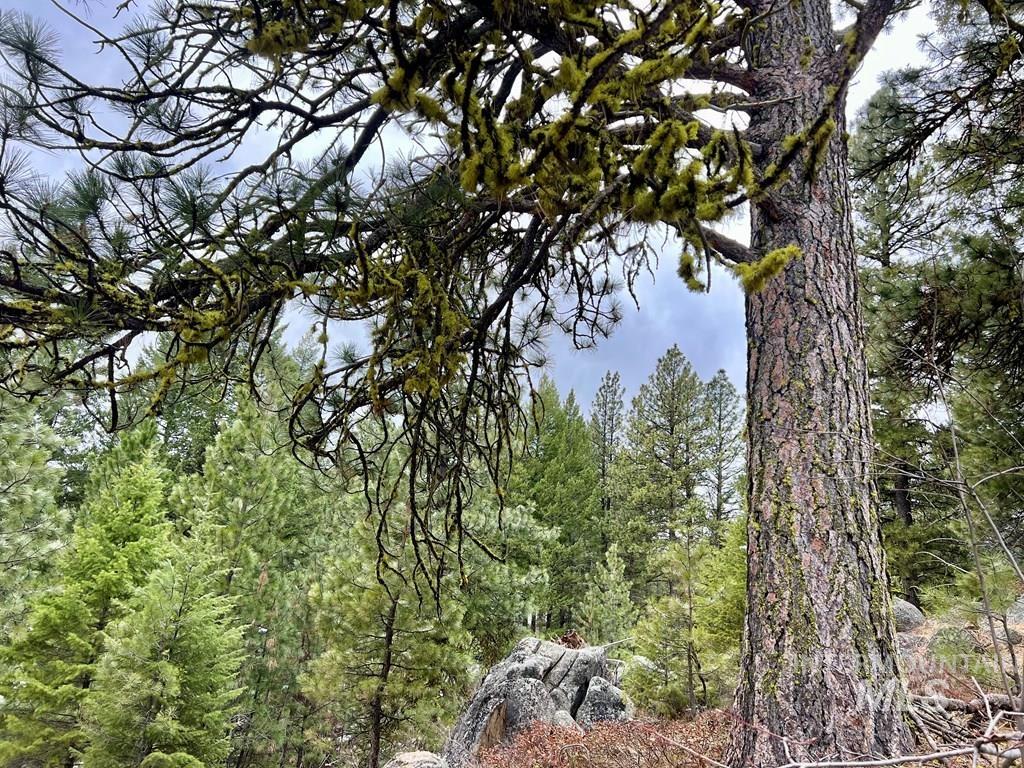 TBD Hilltop Rd., Cascade, Idaho 83611, Land For Sale, Price $179,000, 98951420