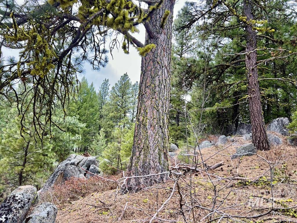 TBD Hilltop Rd., Cascade, Idaho 83611, Land For Sale, Price $179,000, 98951420