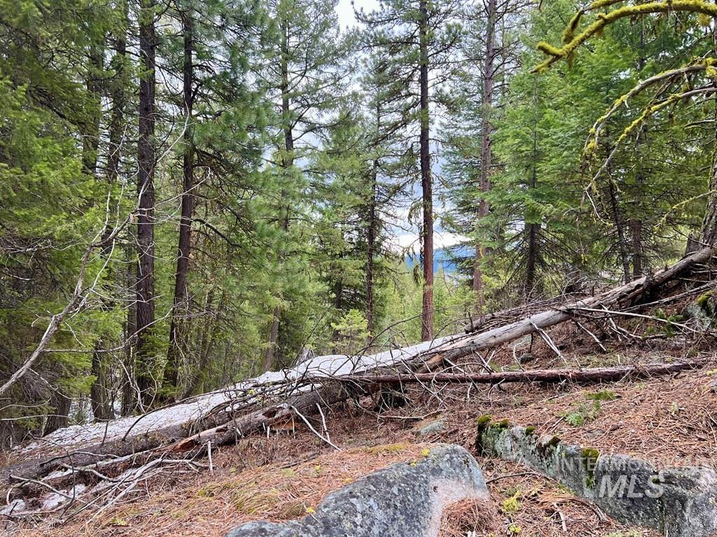 TBD Hilltop Rd., Cascade, Idaho 83611, Land For Sale, Price $179,000, 98951420
