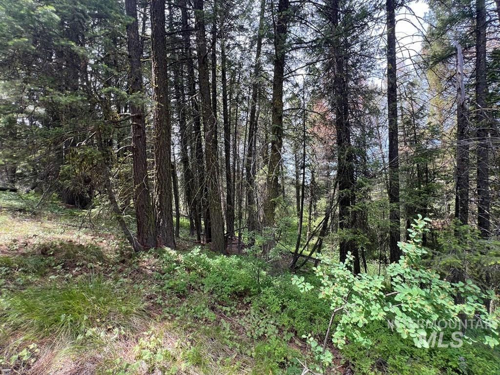 TBD Hilltop Rd., Cascade, Idaho 83611, Land For Sale, Price $179,000, 98951420