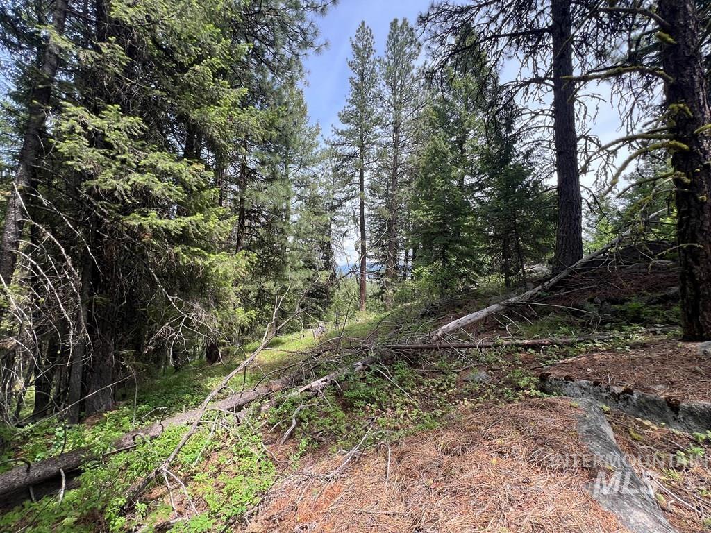 TBD Hilltop Rd., Cascade, Idaho 83611, Land For Sale, Price $179,000, 98951420