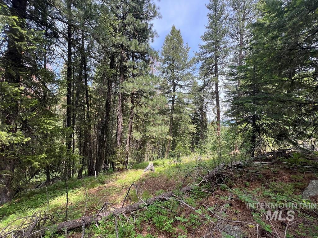 TBD Hilltop Rd., Cascade, Idaho 83611, Land For Sale, Price $179,000, 98951420