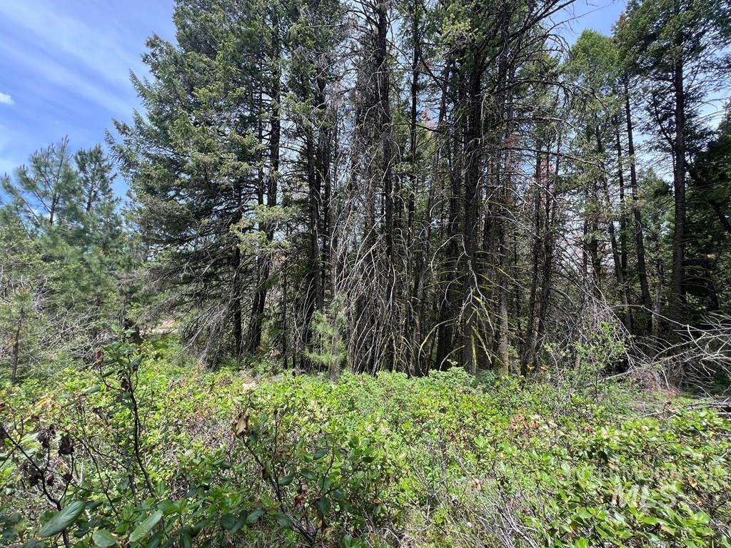 TBD Hilltop Rd., Cascade, Idaho 83611, Land For Sale, Price $179,000, 98951420