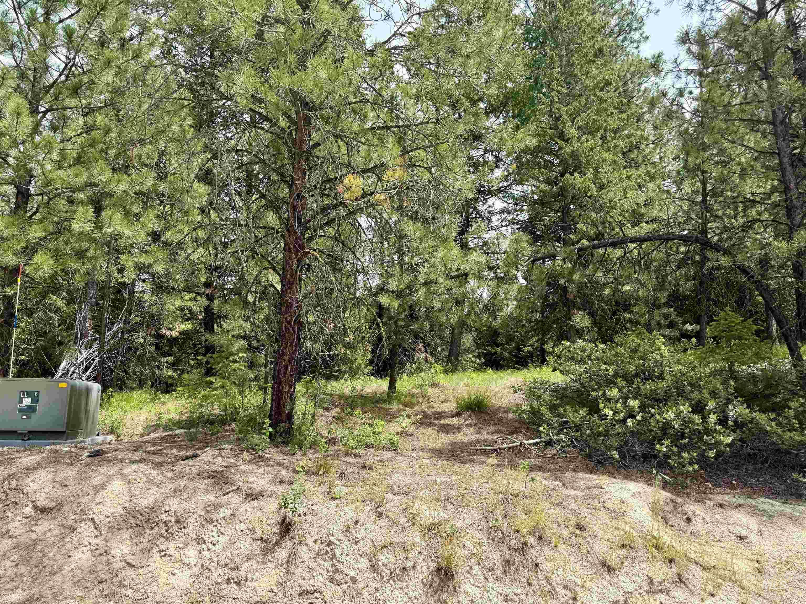 53 Landale Lane, Cascade, Idaho 83711, Land For Sale, Price $87,200, 98951484
