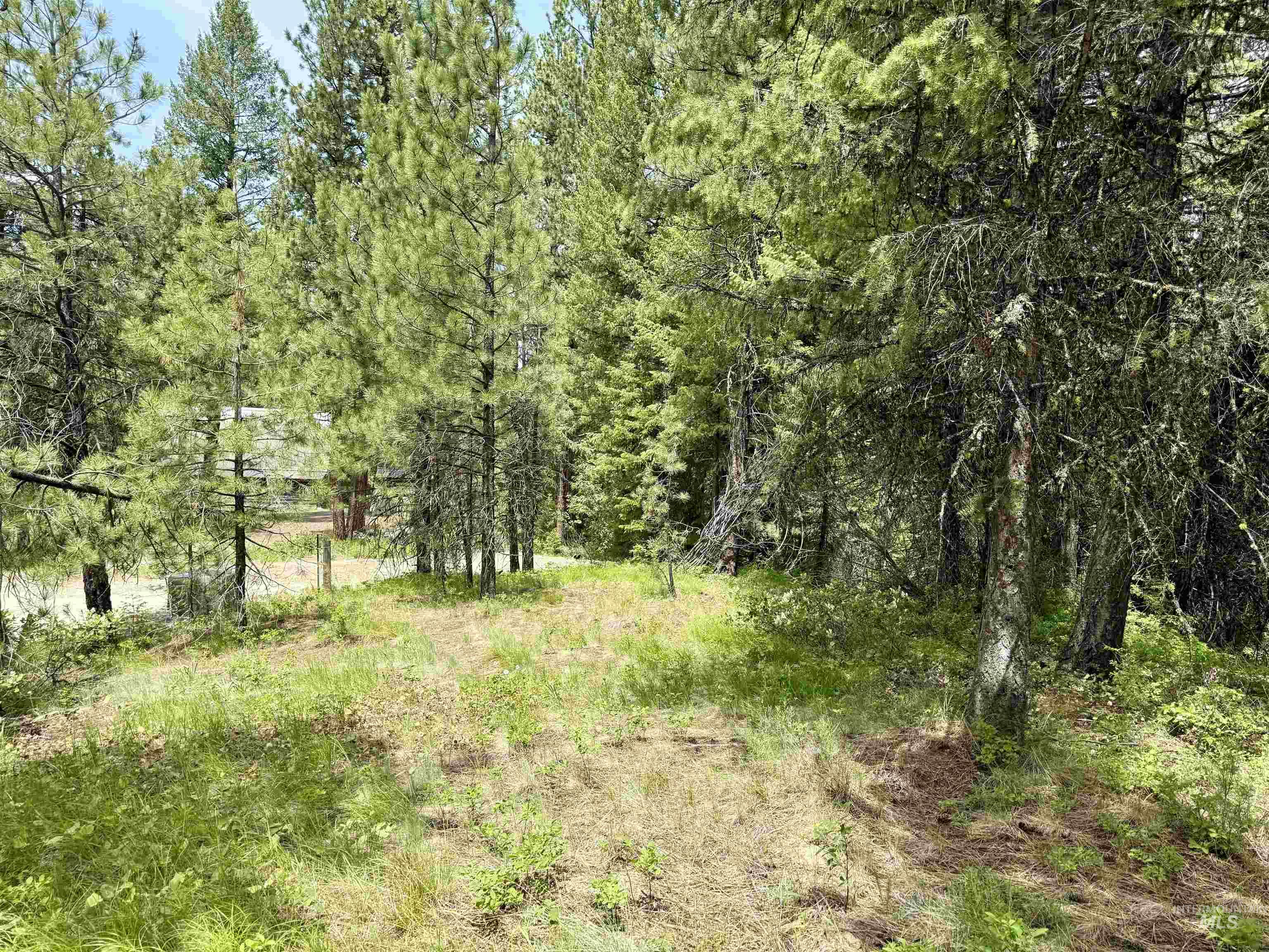 53 Landale Lane, Cascade, Idaho 83711, Land For Sale, Price $87,200, 98951484