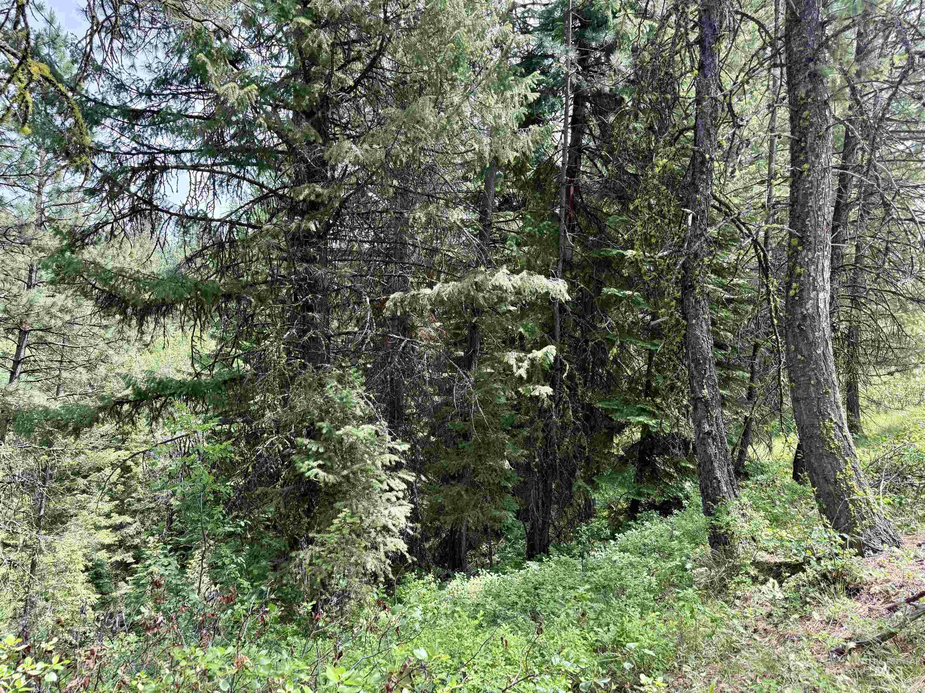 53 Landale Lane, Cascade, Idaho 83711, Land For Sale, Price $87,200, 98951484