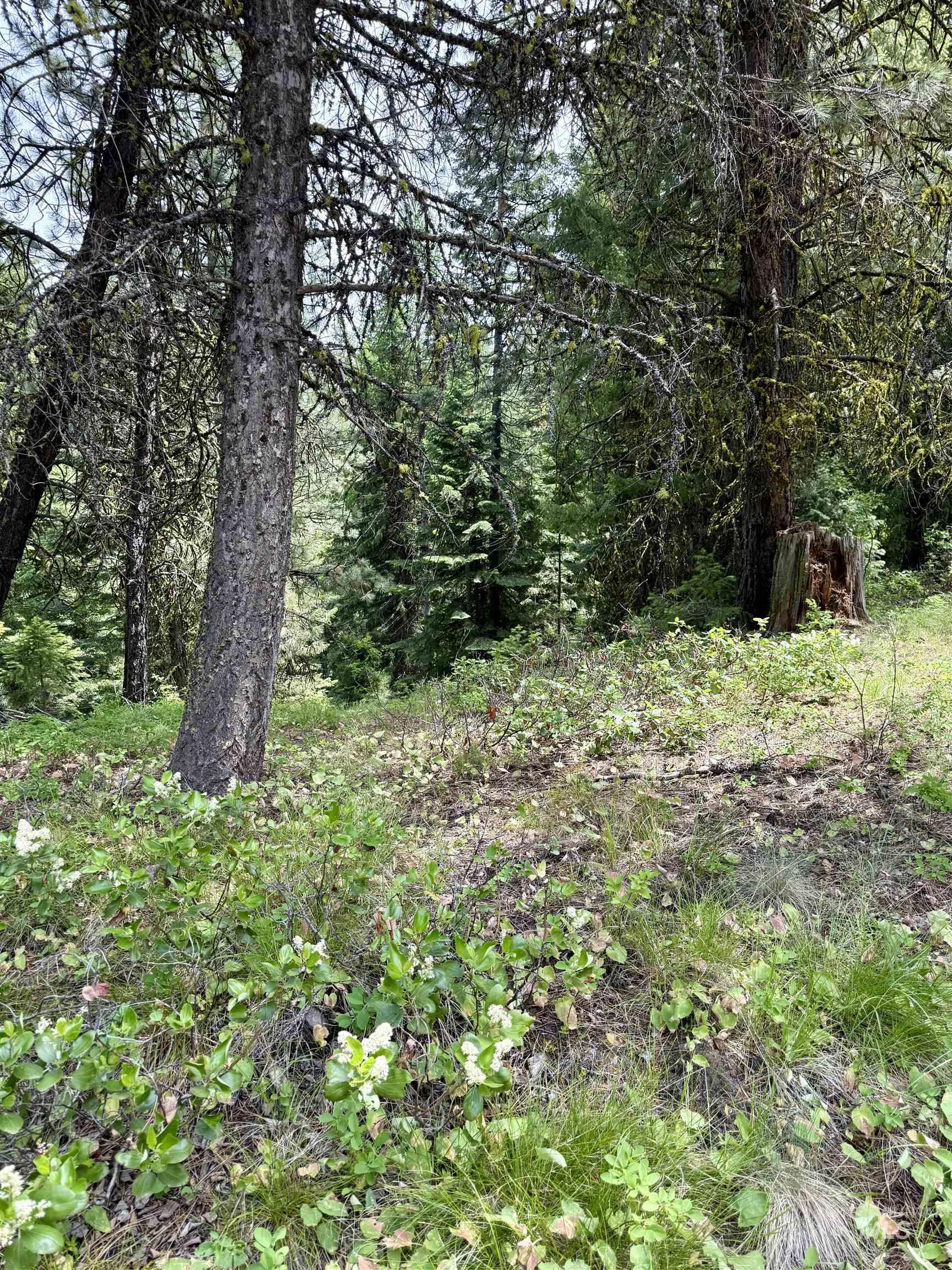 53 Landale Lane, Cascade, Idaho 83711, Land For Sale, Price $87,200, 98951484