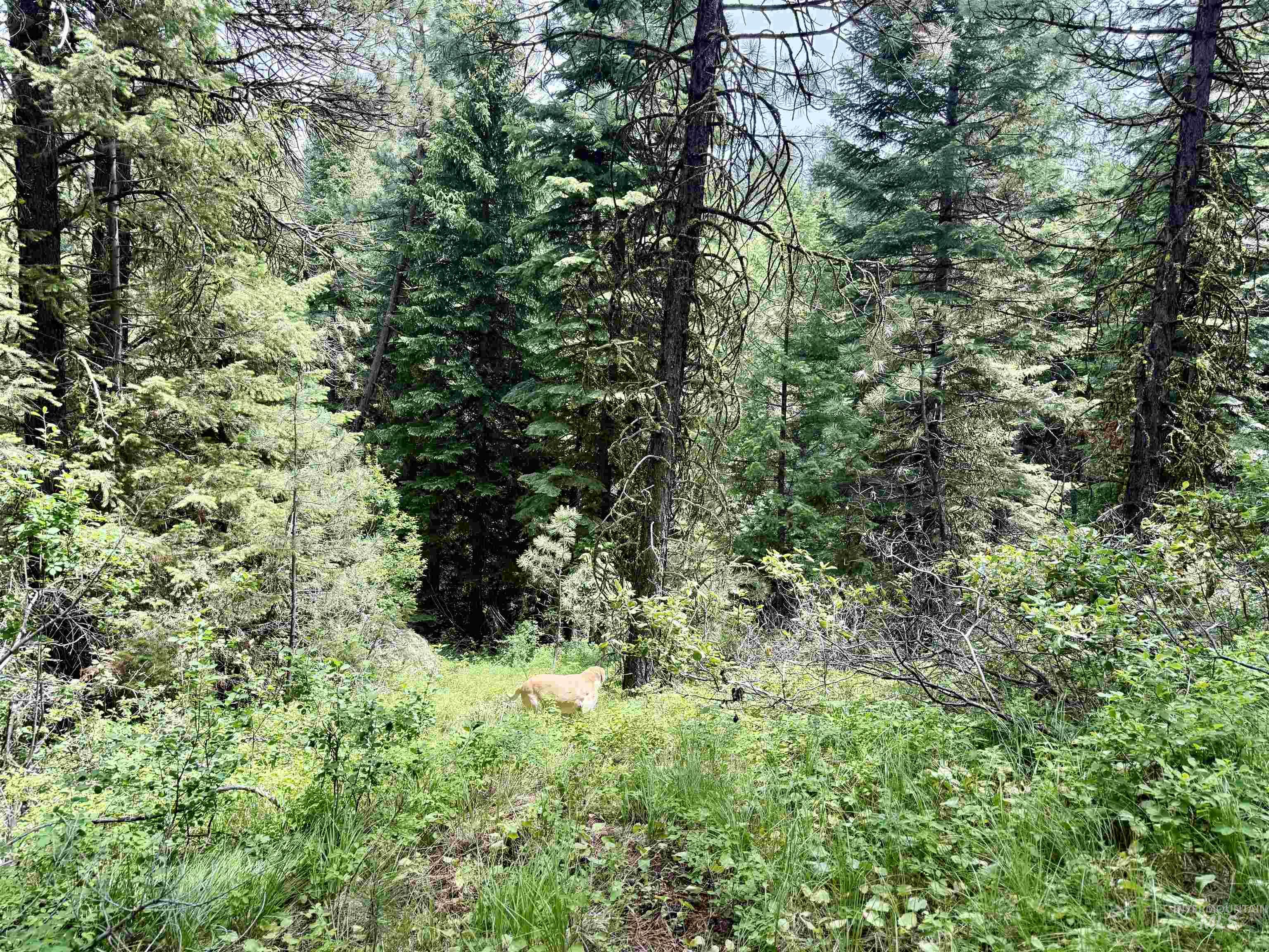 53 Landale Lane, Cascade, Idaho 83711, Land For Sale, Price $87,200, 98951484