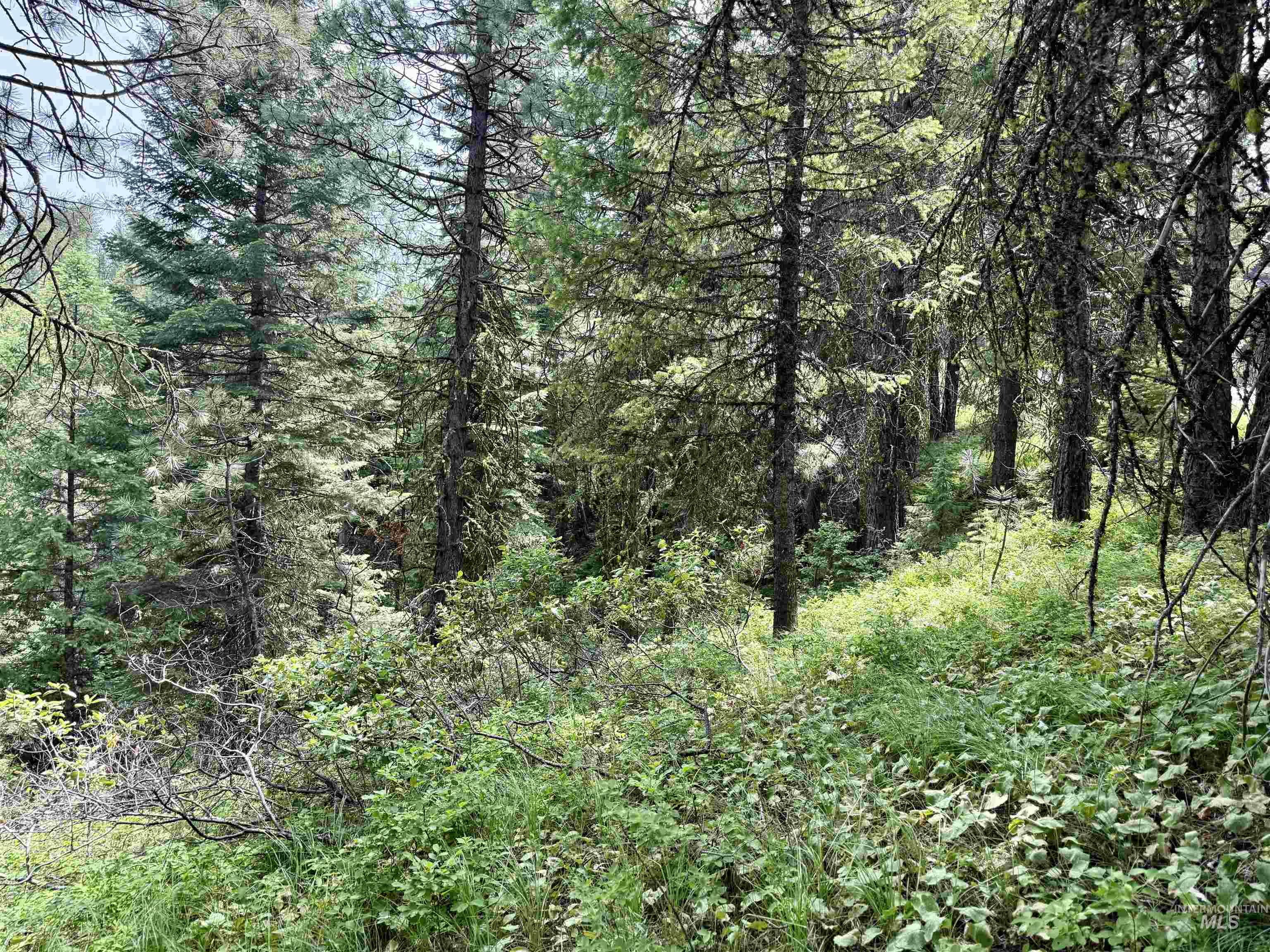 53 Landale Lane, Cascade, Idaho 83711, Land For Sale, Price $87,200, 98951484