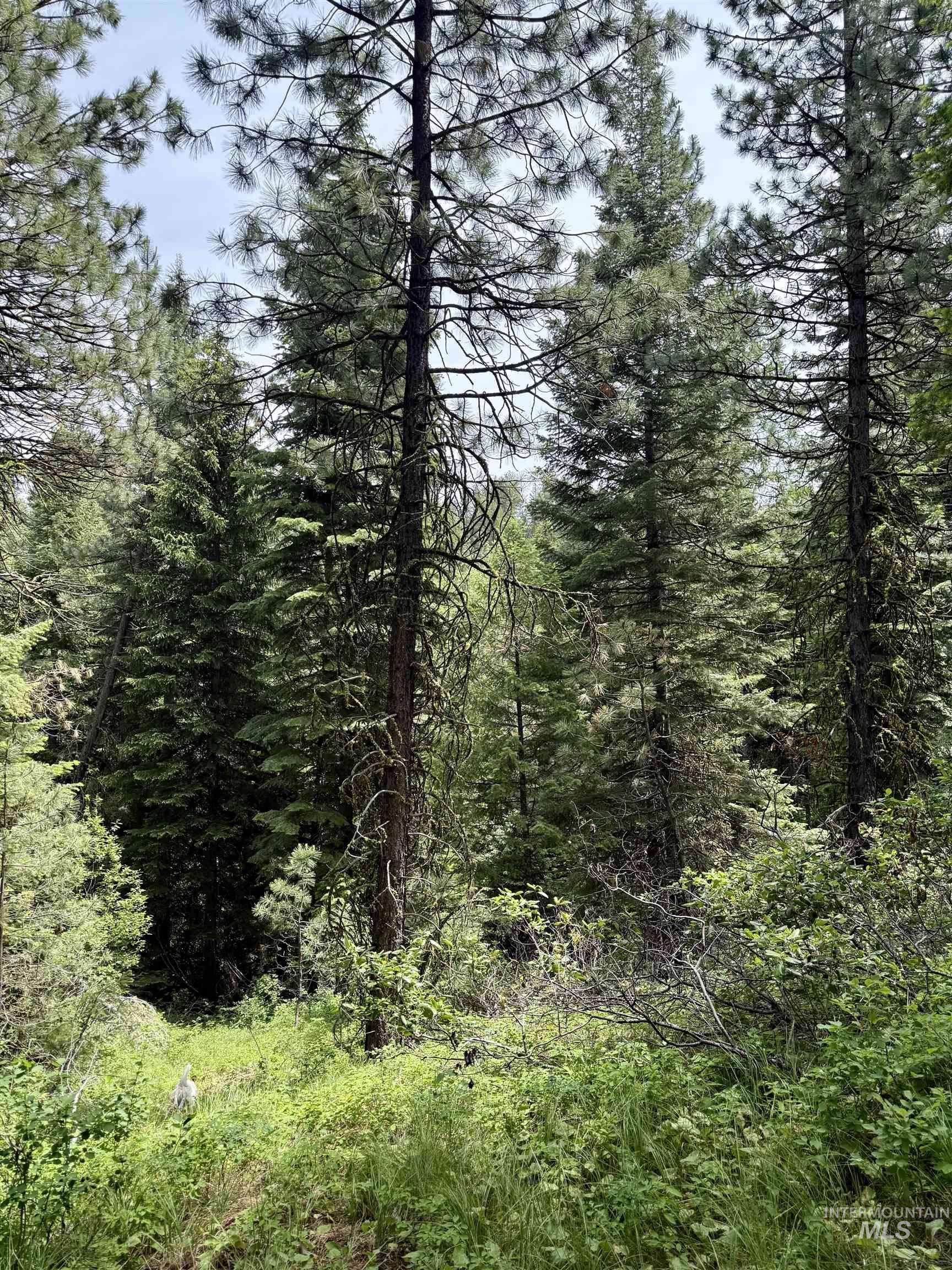 53 Landale Lane, Cascade, Idaho 83711, Land For Sale, Price $87,200, 98951484