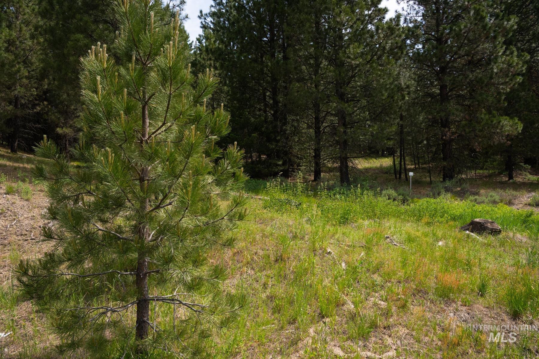 63 Price Loop, Cascade, Idaho 83611, Land For Sale, Price $145,000, 98951549