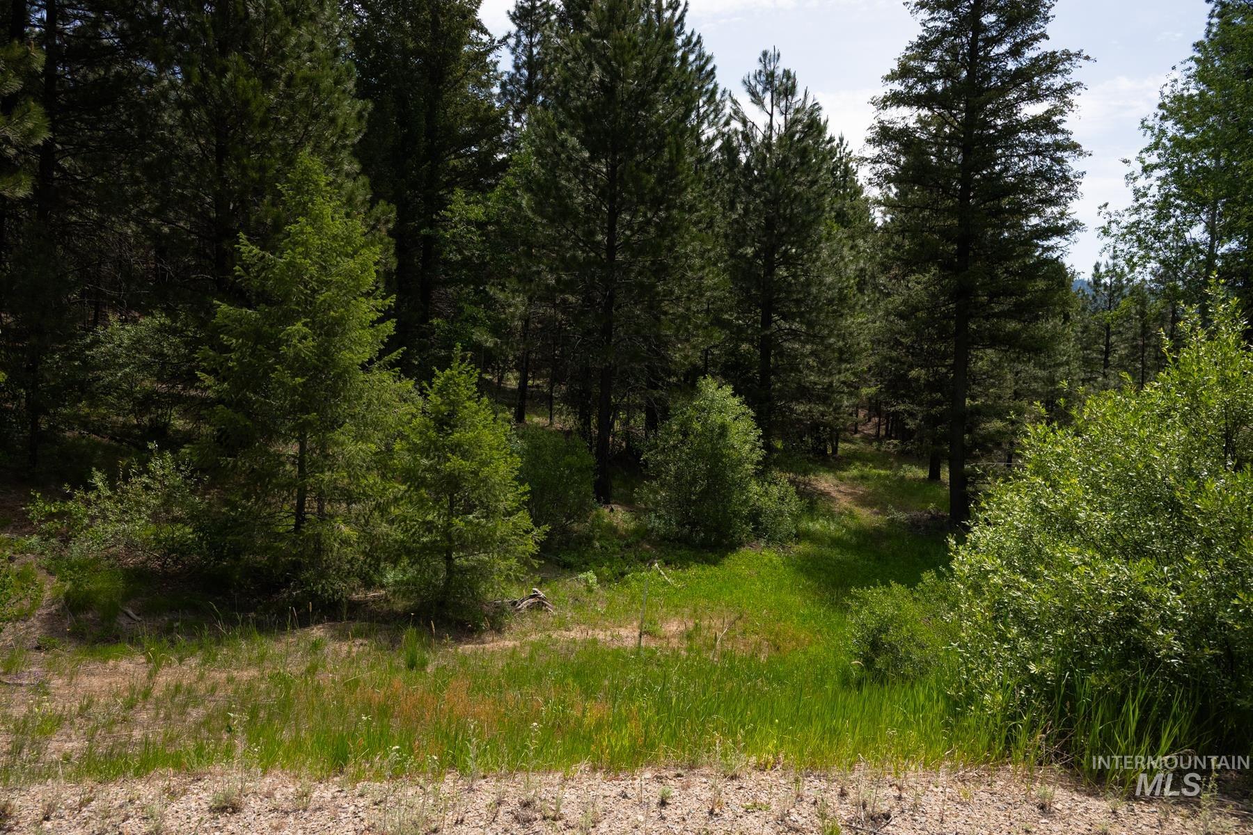 63 Price Loop, Cascade, Idaho 83611, Land For Sale, Price $145,000, 98951549