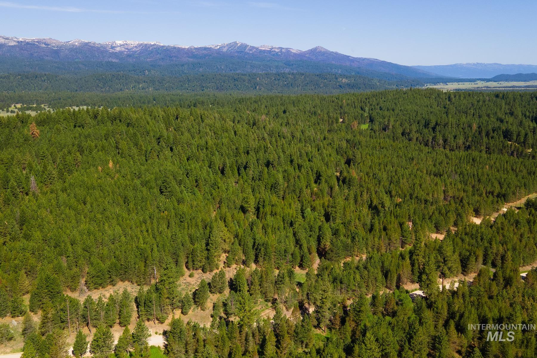 63 Price Loop, Cascade, Idaho 83611, Land For Sale, Price $145,000, 98951549