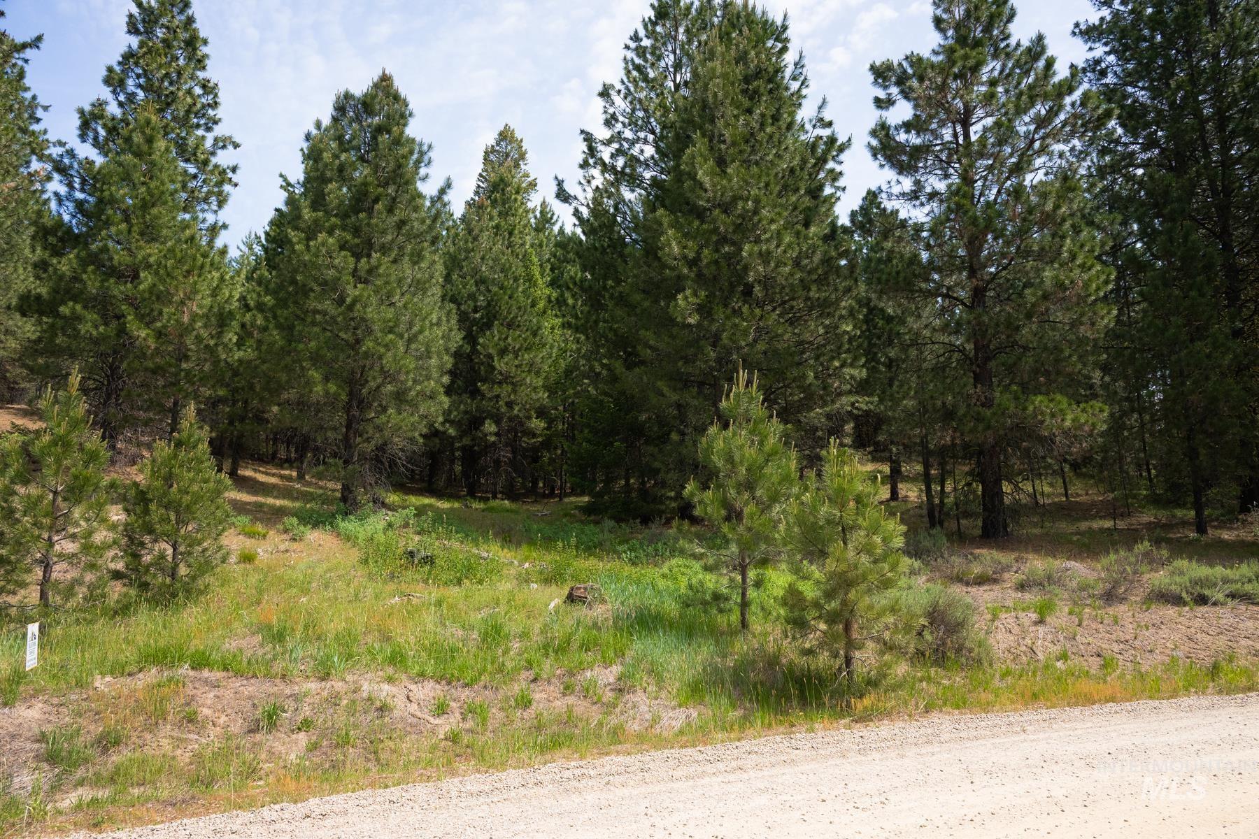 63 Price Loop, Cascade, Idaho 83611, Land For Sale, Price $145,000, 98951549