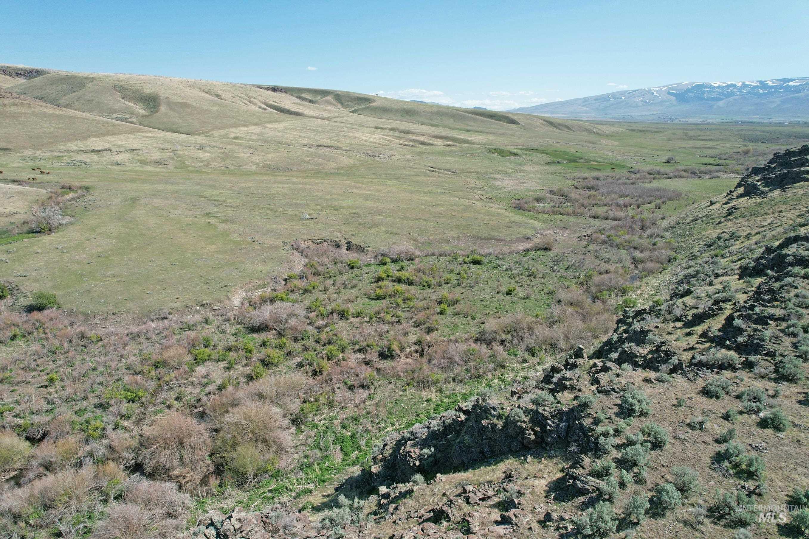 View of mountain background