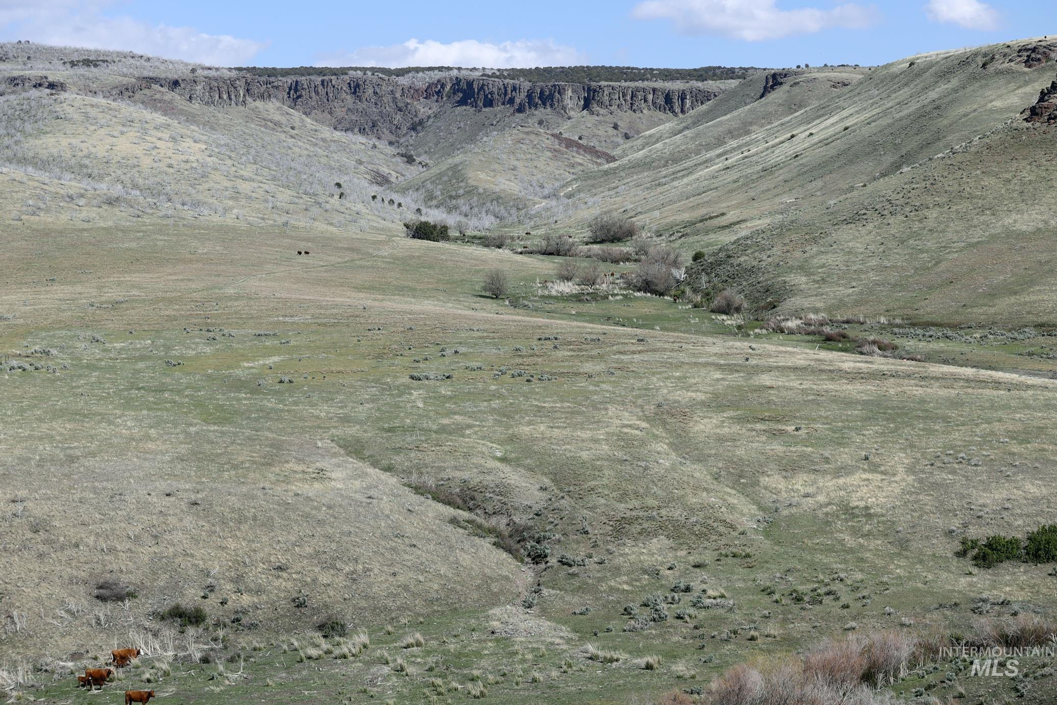View of mountain background