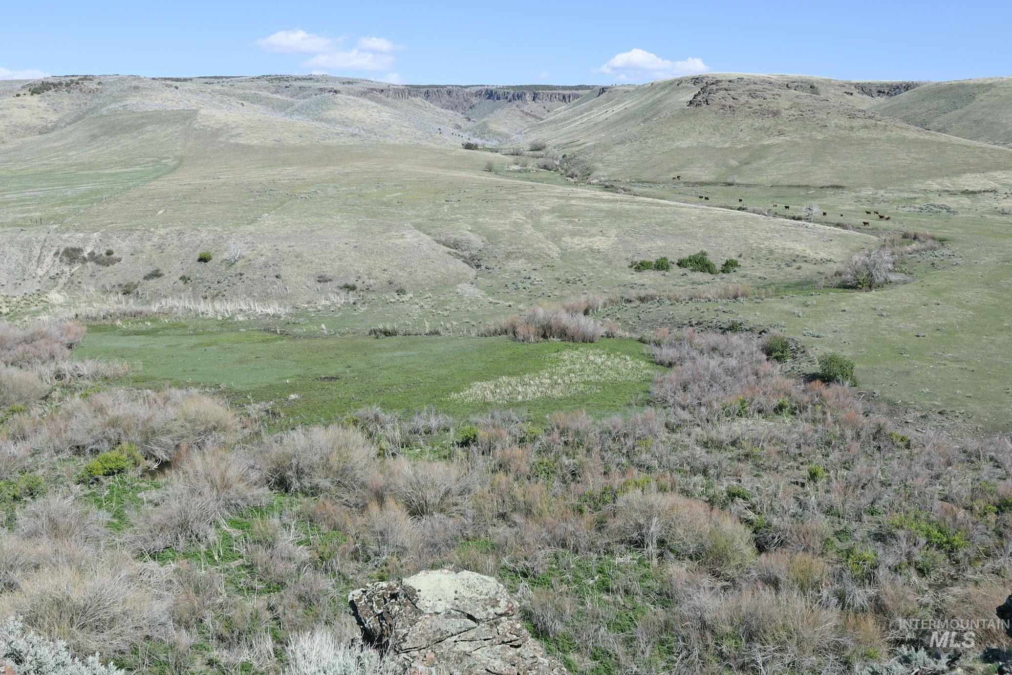 View of mountain backdrop