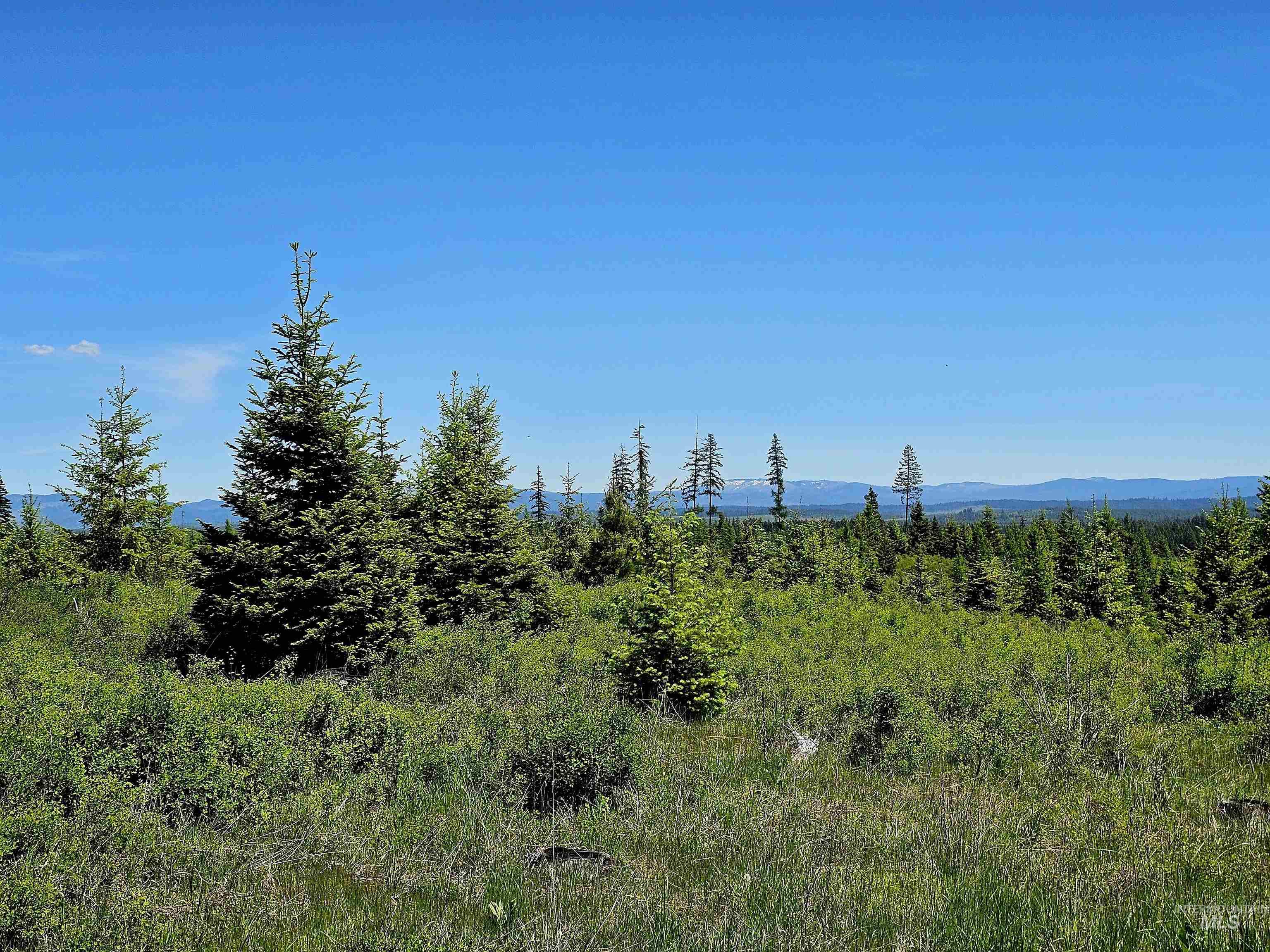 0 Timberline Heights, Parcel 3, Weippe, Idaho 83553, Land For Sale, Price $235,100, 98951676