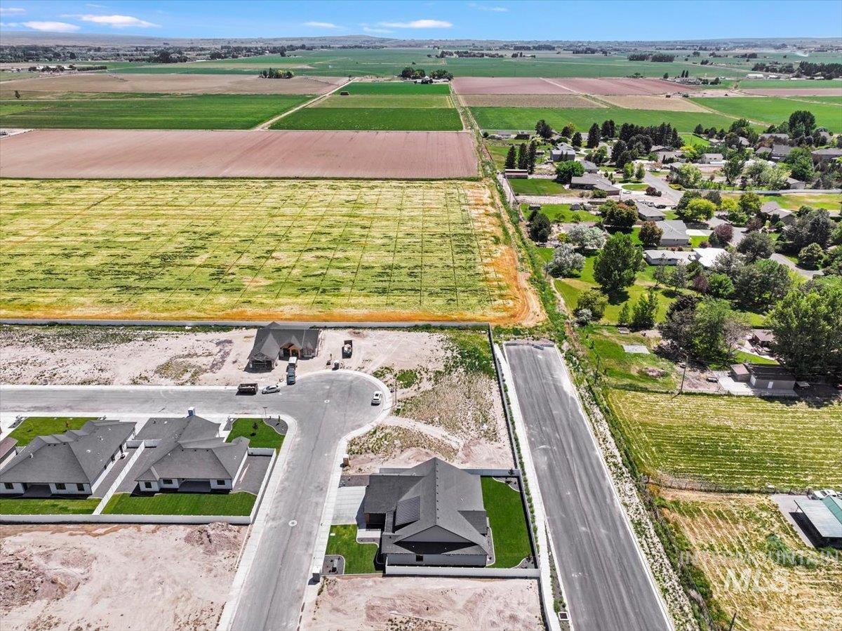 Aerial view of sparsely populated area with rows of crops