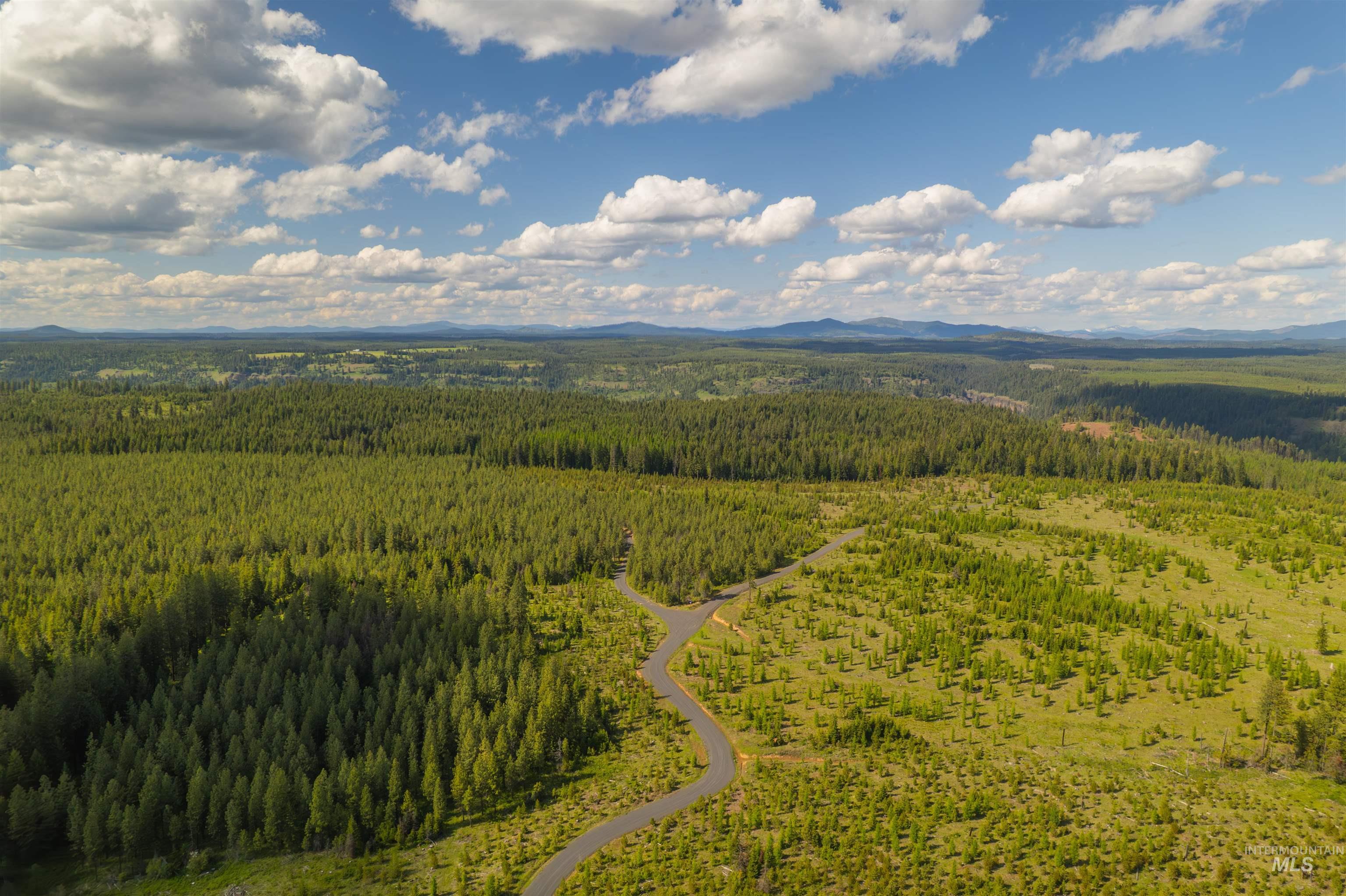 Bird's eye view of a heavily wooded area and mountains