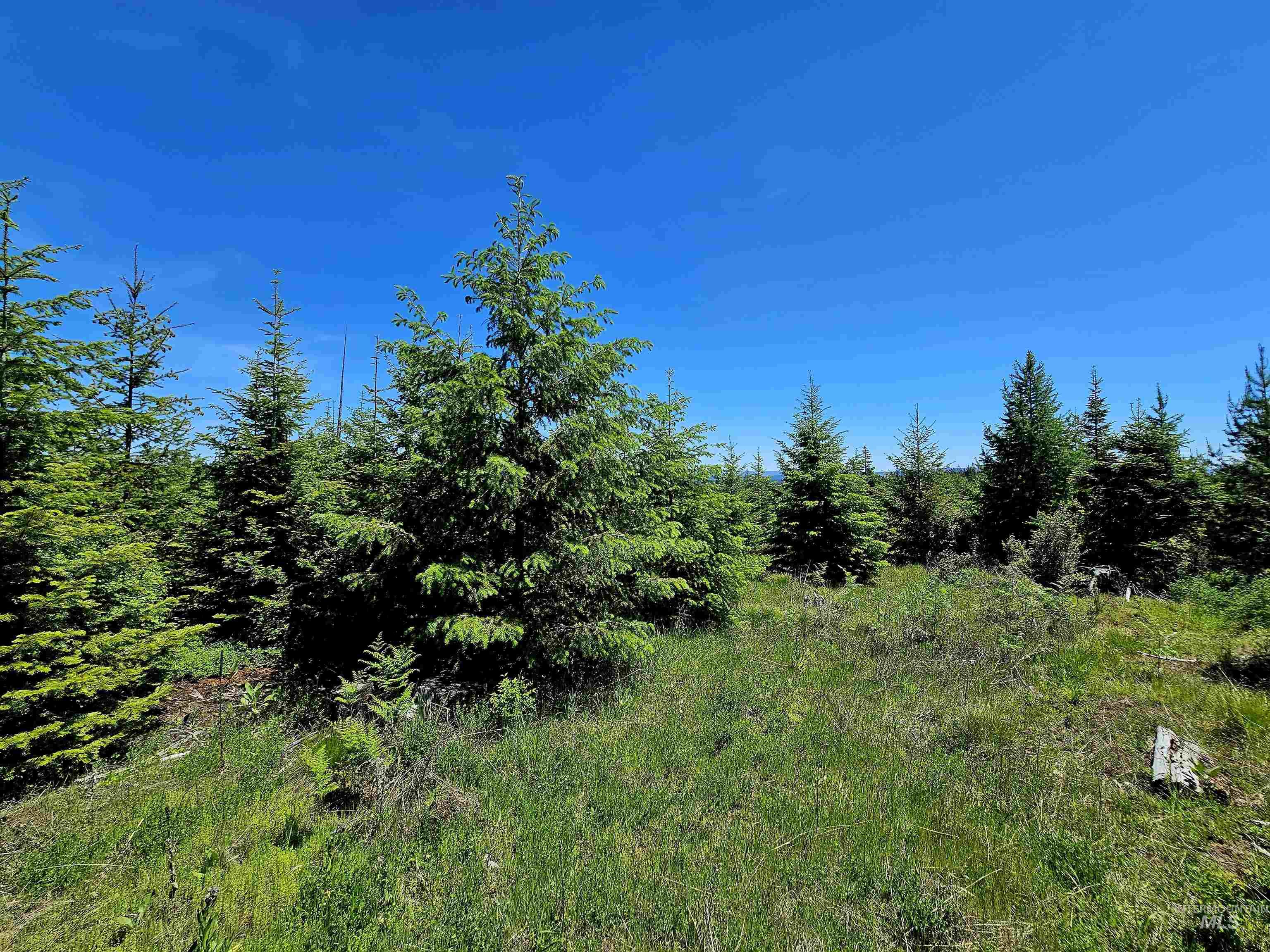 0 Timberline Heights, Parcel 5, Weippe, Idaho 83553, Land For Sale, Price $238,700, 98951712