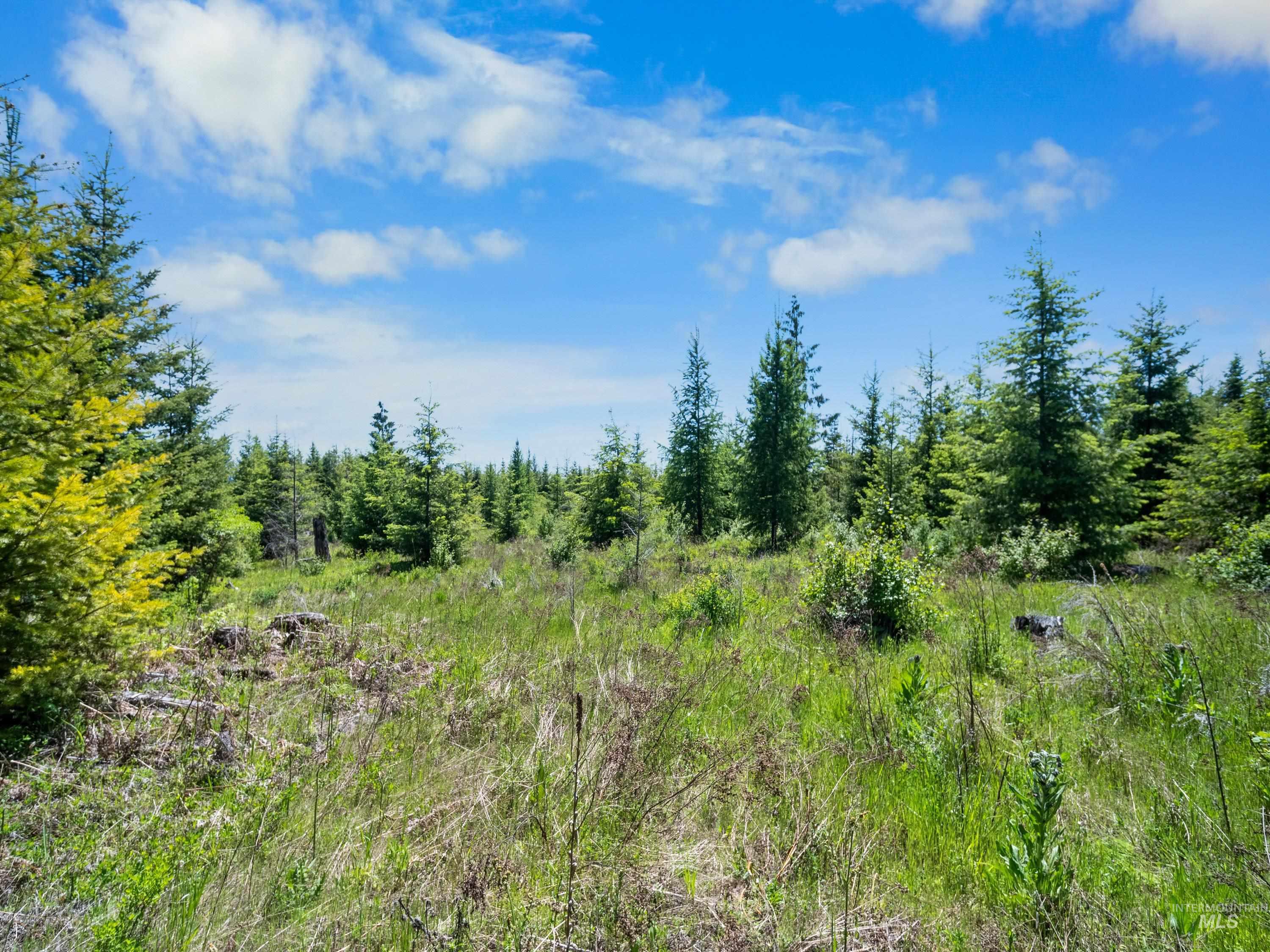 0 Timberline Heights, Parcel 5, Weippe, Idaho 83553, Land For Sale, Price $238,700, 98951712