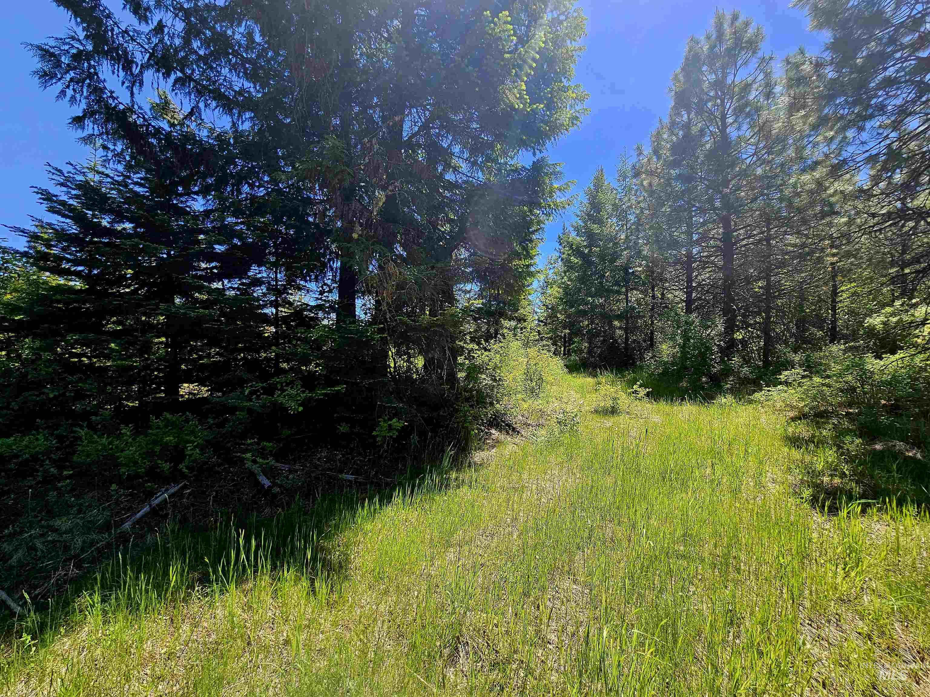 0 Timberline Heights, Parcel 5, Weippe, Idaho 83553, Land For Sale, Price $238,700, 98951712