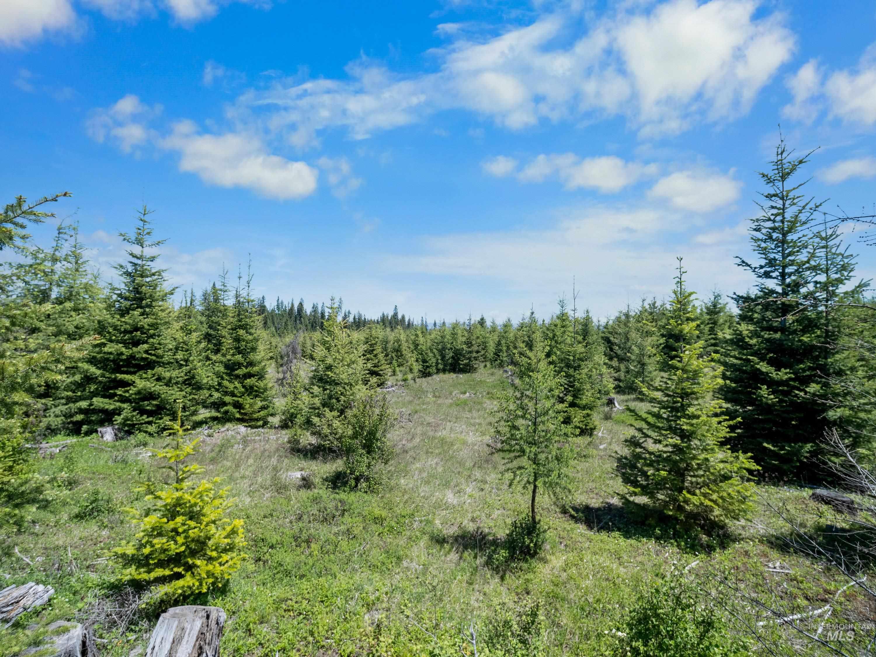 0 Timberline Heights, Parcel 5, Weippe, Idaho 83553, Land For Sale, Price $238,700, 98951712