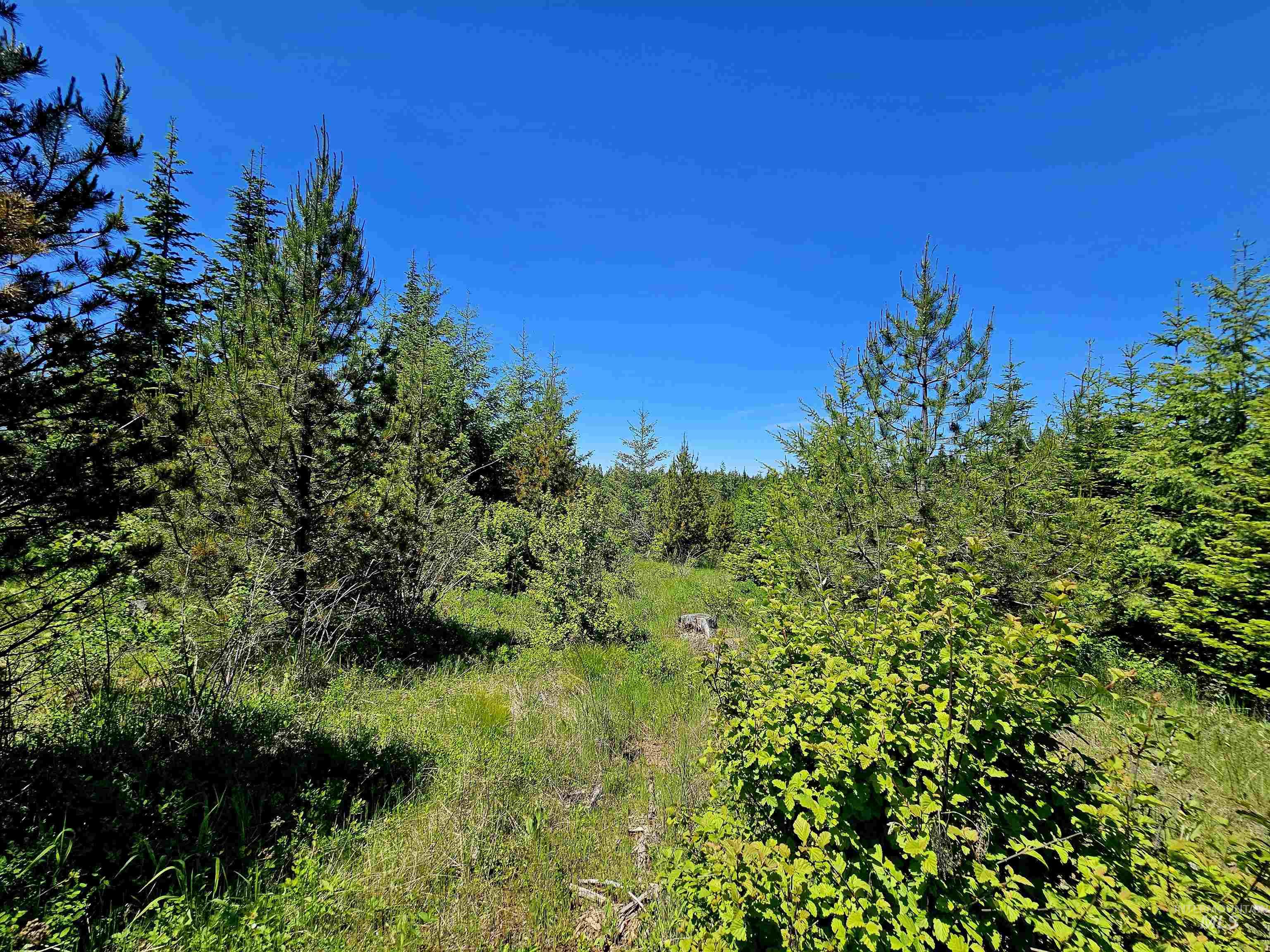 0 Timberline Heights, Parcel 5, Weippe, Idaho 83553, Land For Sale, Price $238,700, 98951712