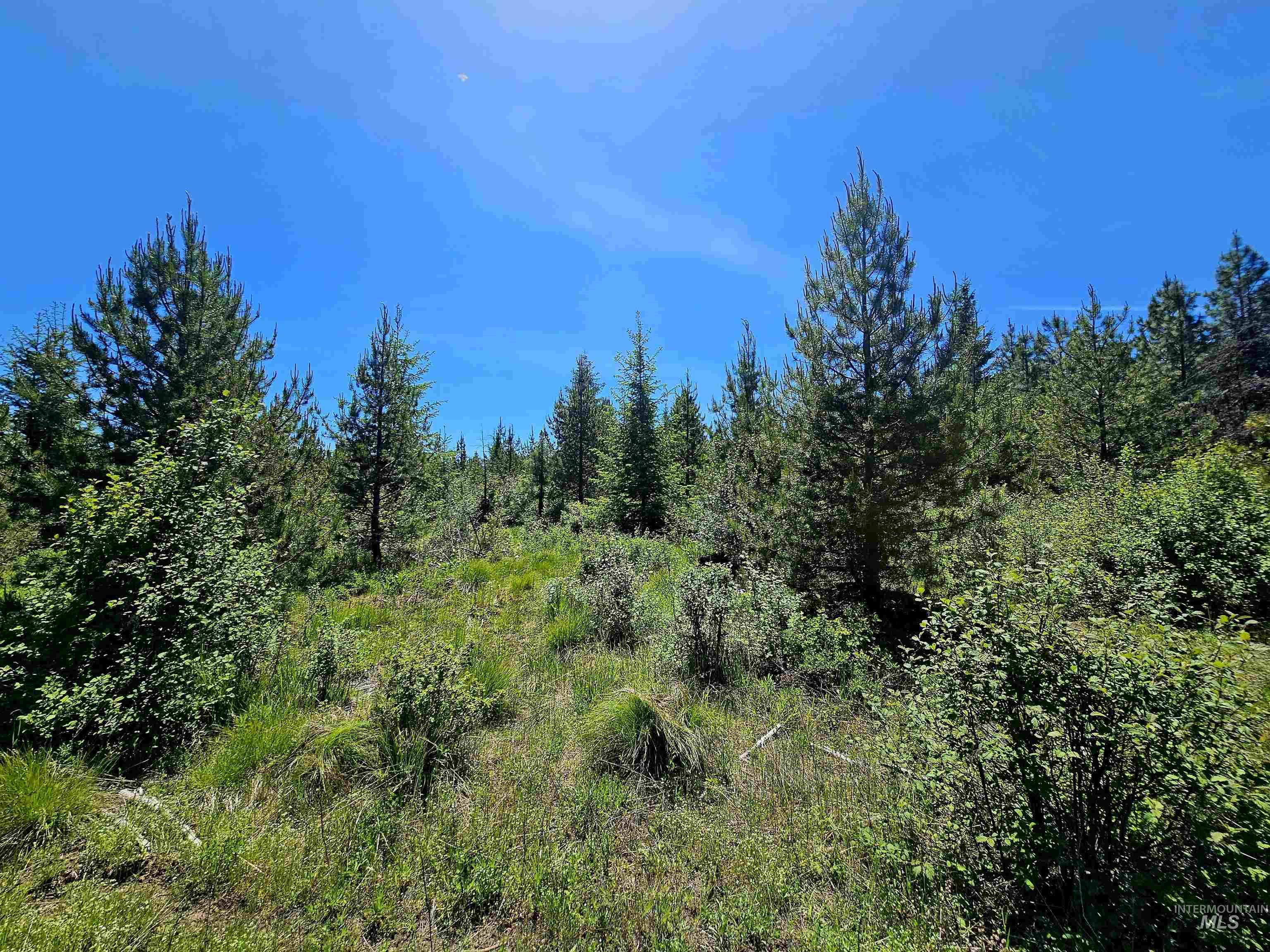 0 Timberline Heights, Parcel 5, Weippe, Idaho 83553, Land For Sale, Price $238,700, 98951712