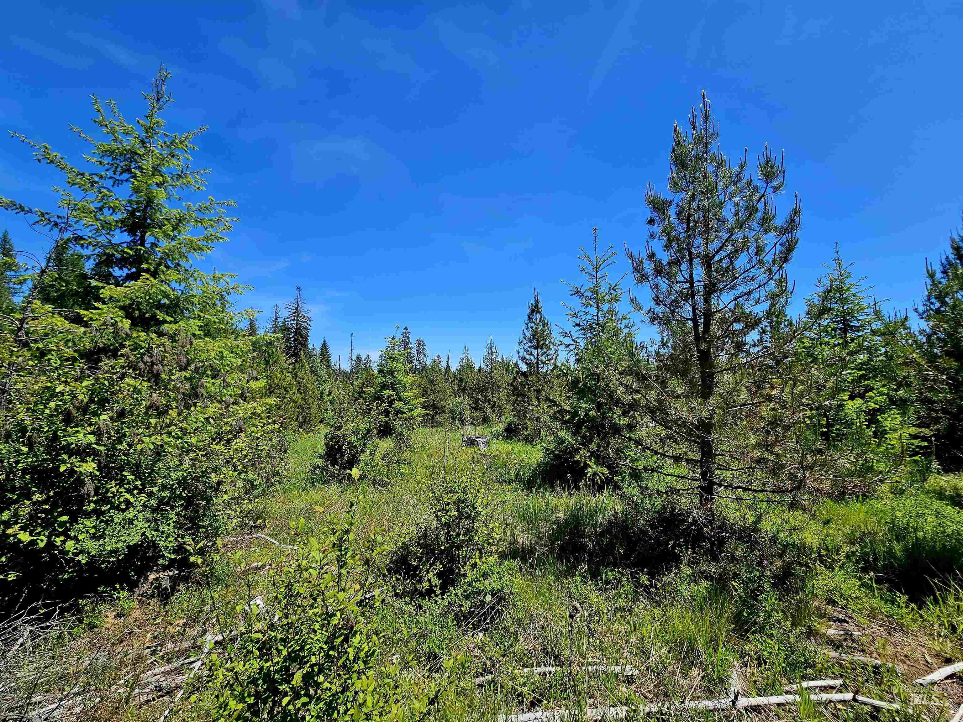 0 Timberline Heights, Parcel 5, Weippe, Idaho 83553, Land For Sale, Price $238,700, 98951712