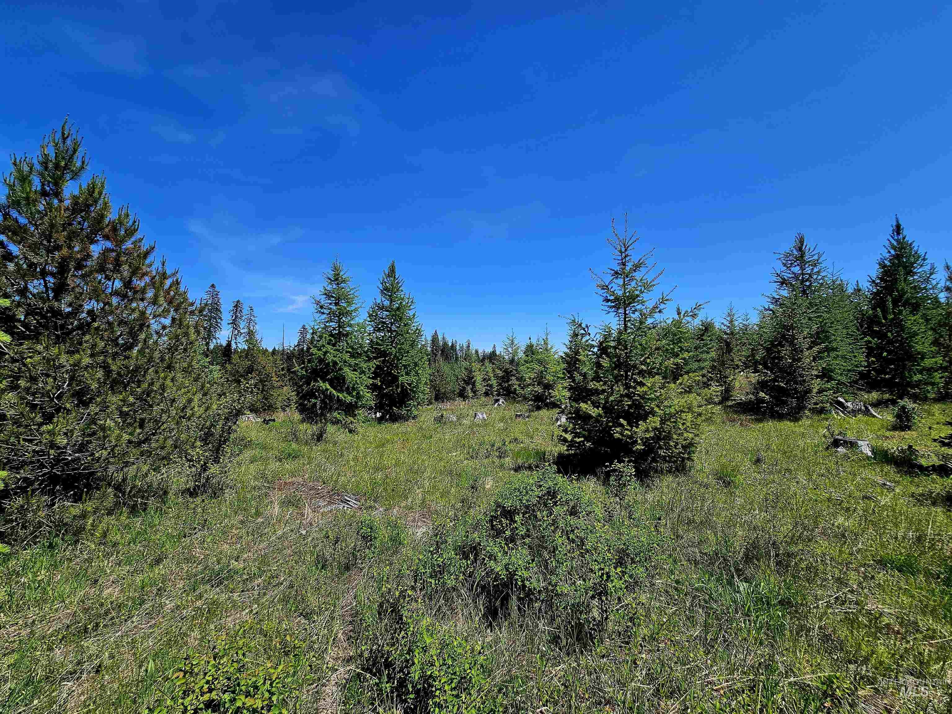 0 Timberline Heights, Parcel 5, Weippe, Idaho 83553, Land For Sale, Price $238,700, 98951712