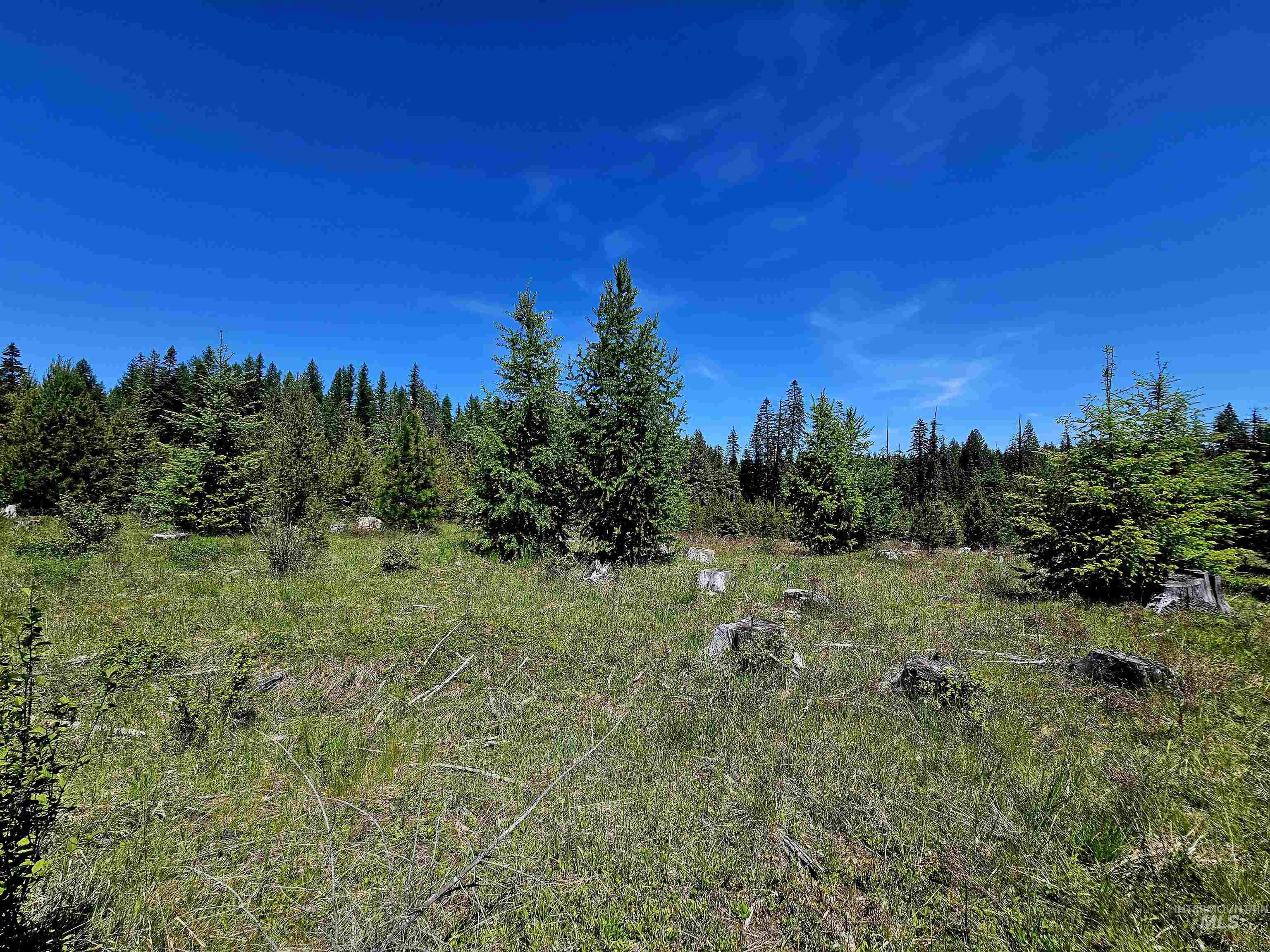 0 Timberline Heights, Parcel 5, Weippe, Idaho 83553, Land For Sale, Price $238,700, 98951712