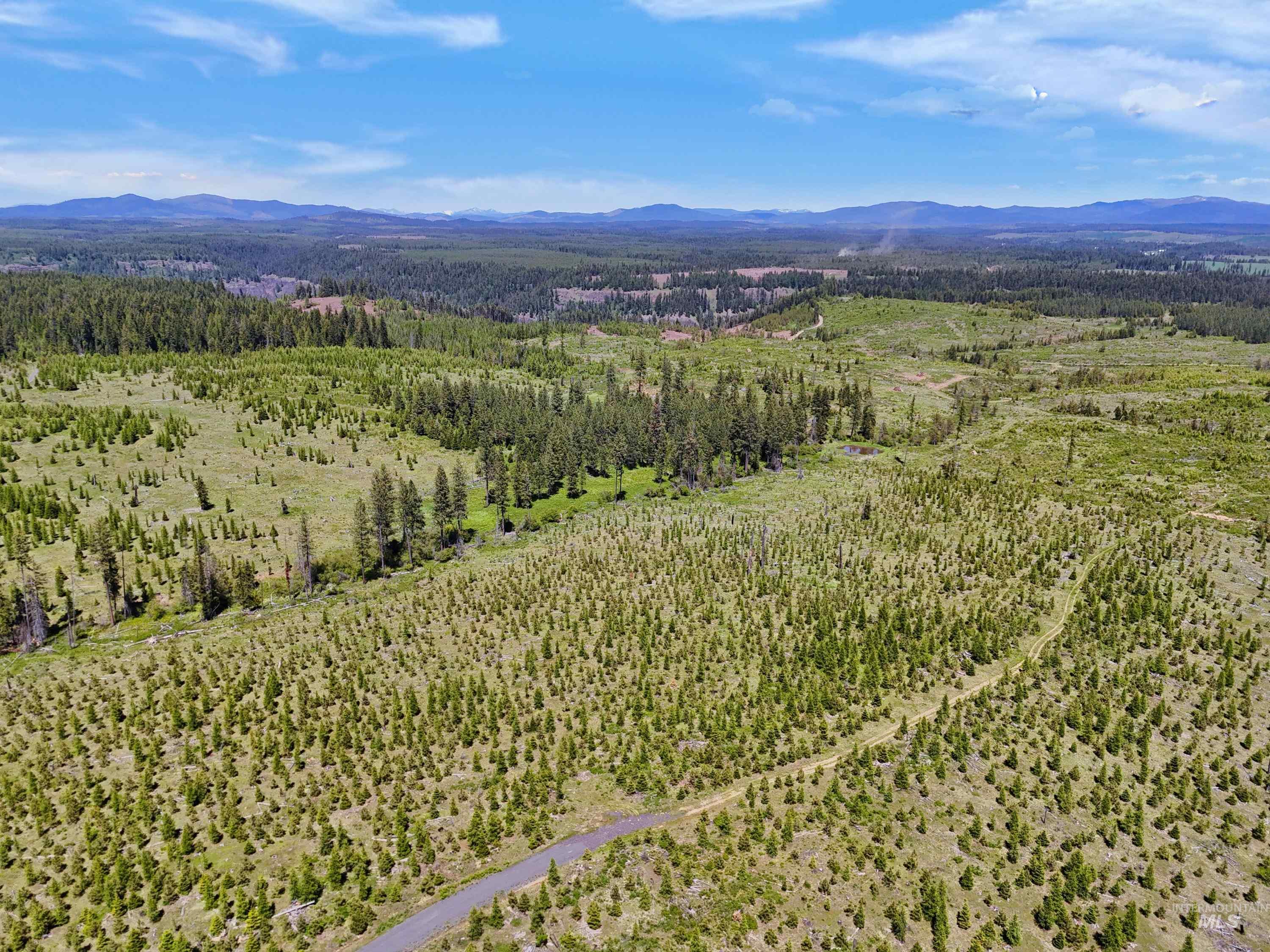 Aerial view of a mountain backdrop and a forest